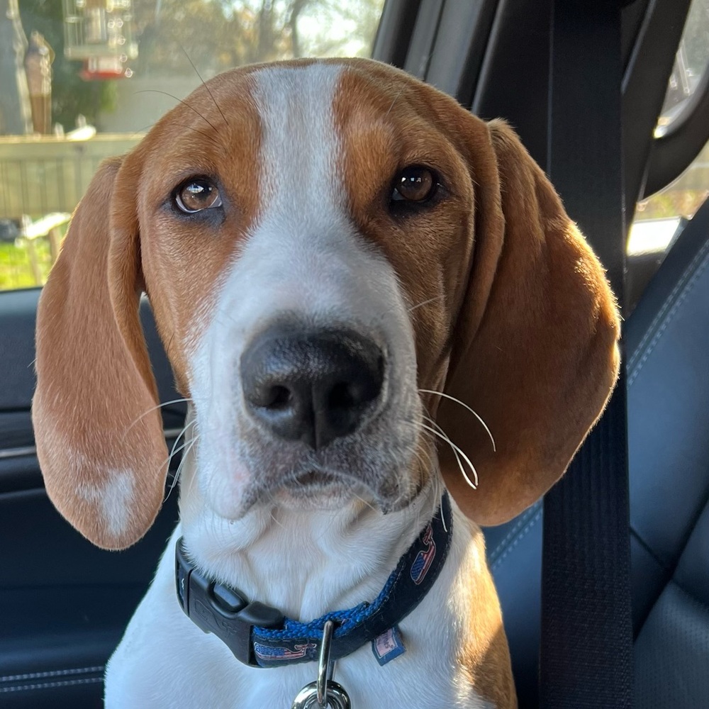 Meet your Posher, Adrienne